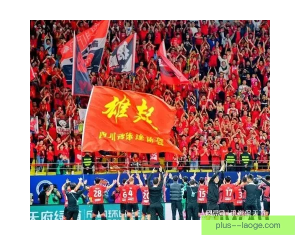 成都蓉城首进亚冠斩获季军书写中超新辉煌篇章